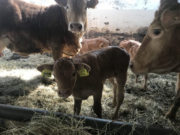 New Nexus actief tijdens vrijwilligersdag