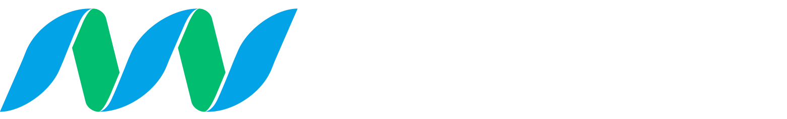 New Nexus