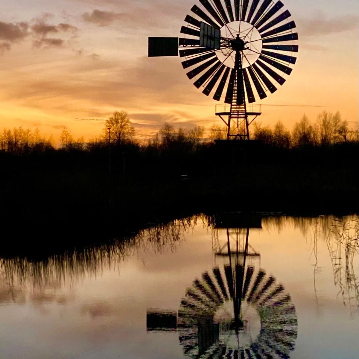 Dideldomweg straatnaambordje