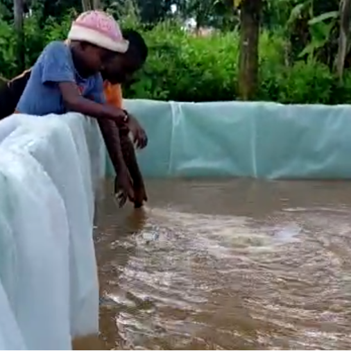 viskwekerij bij HelpHeal Trust