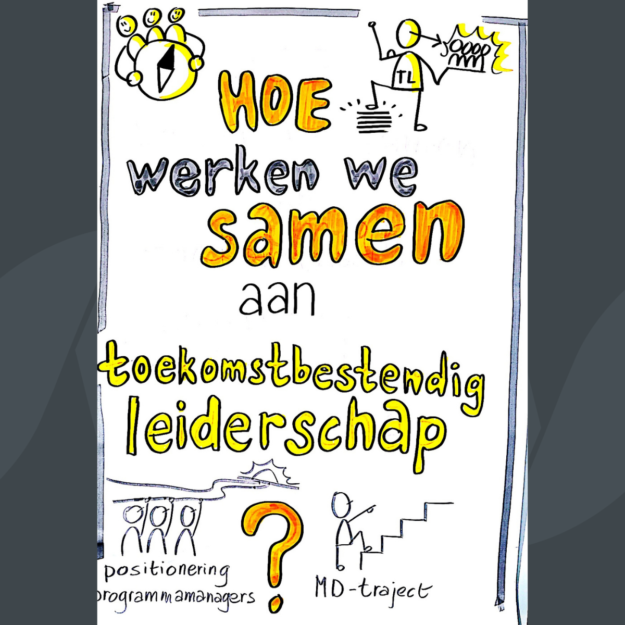gemeente Ooststellingwerf Getekende poster Hoe werken we samen aan toekomstbesting leiderschap