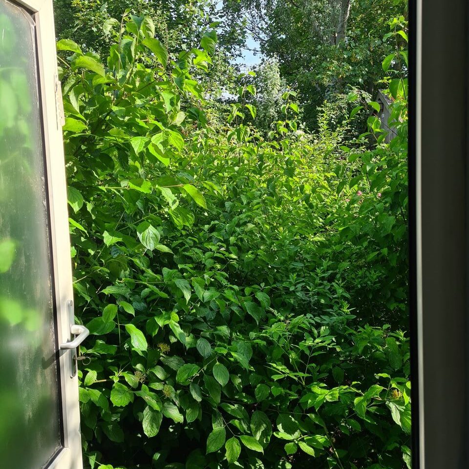 New Nexus vrijwilligersdag 2022