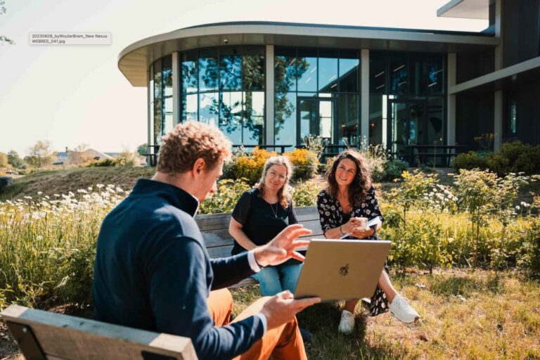 Team Management & Consultancy